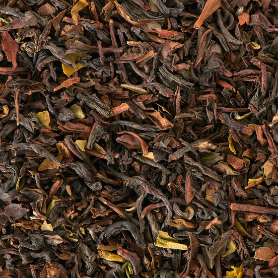 Thé noir Jardins de Darjeeling Bio